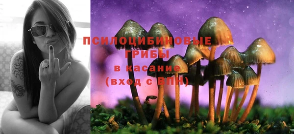 apvp Михайловка