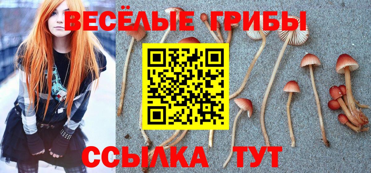 Галлюциногенные грибы прущие грибы Пушкино