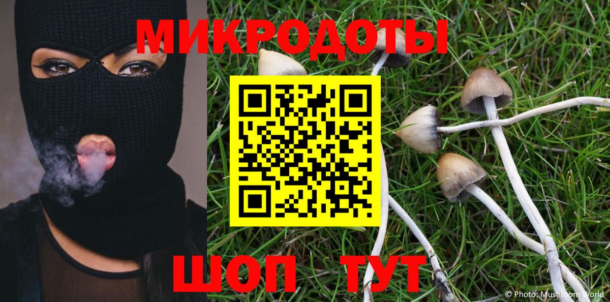 Галлюциногенные грибы ЛСД  Галлюциногенные грибы Psilocybe  Пушкино 